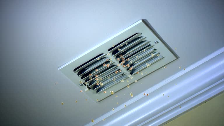 Best Professional Duct Cleaning Services  in Purcell, OK